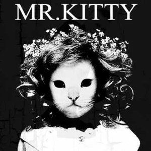 after dark piano cover — Mr Kitty